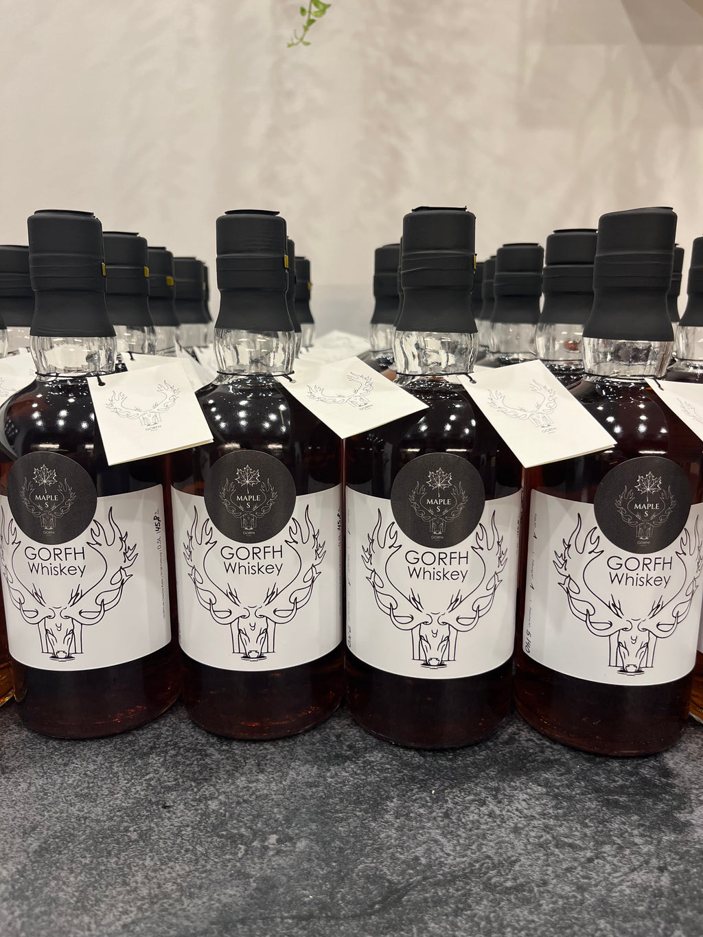 GORFH Whiskey MAPLE S