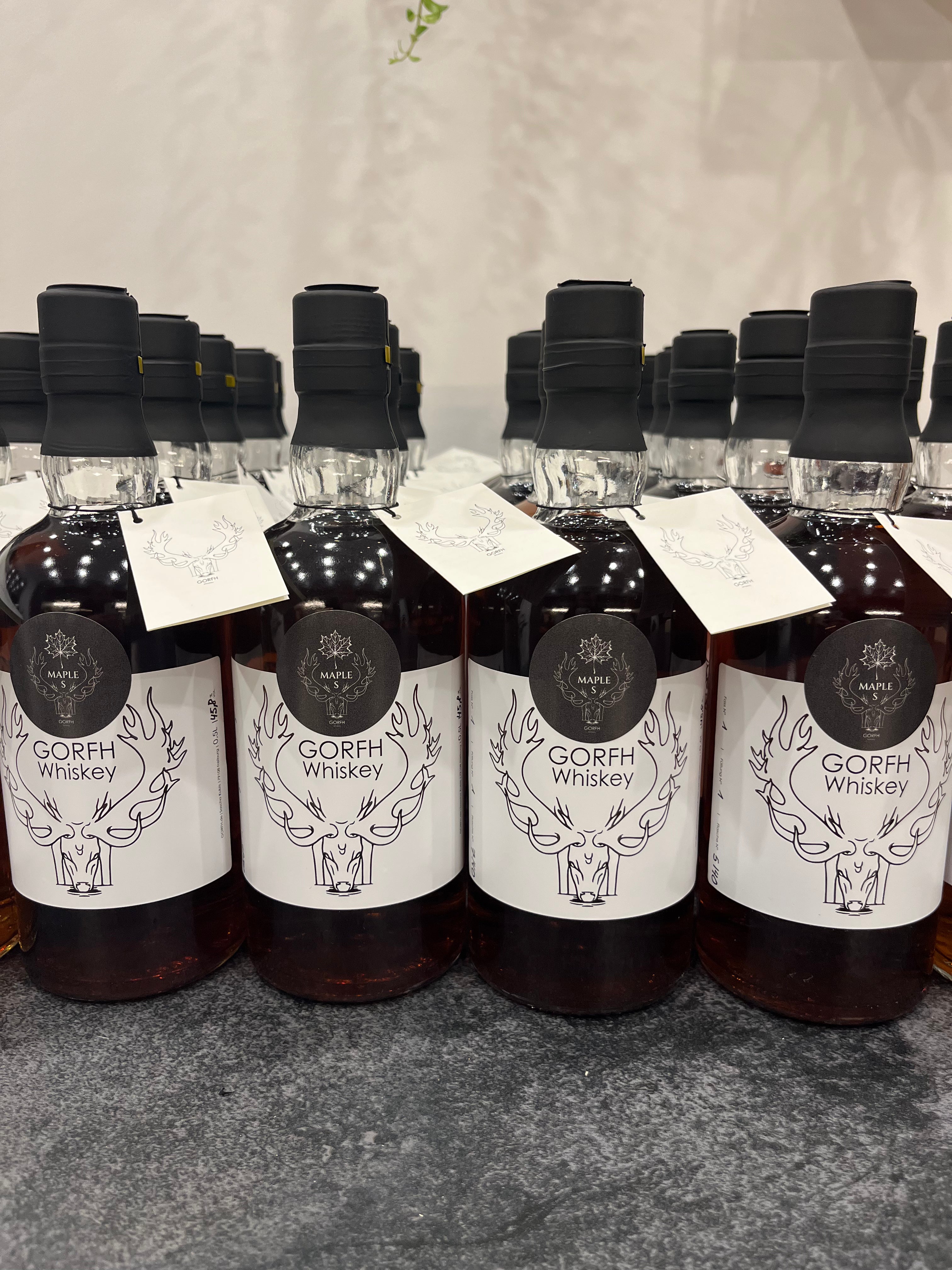 GORFH Whiskey MAPLE S